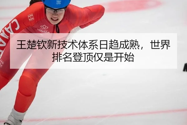 wang-chu-qin-xin-ji-shu-ti-xi-ri-qu-cheng-shu-shi-jie-pai-ming-deng-ding-jin-shi-kai-shi-2-379.jpg